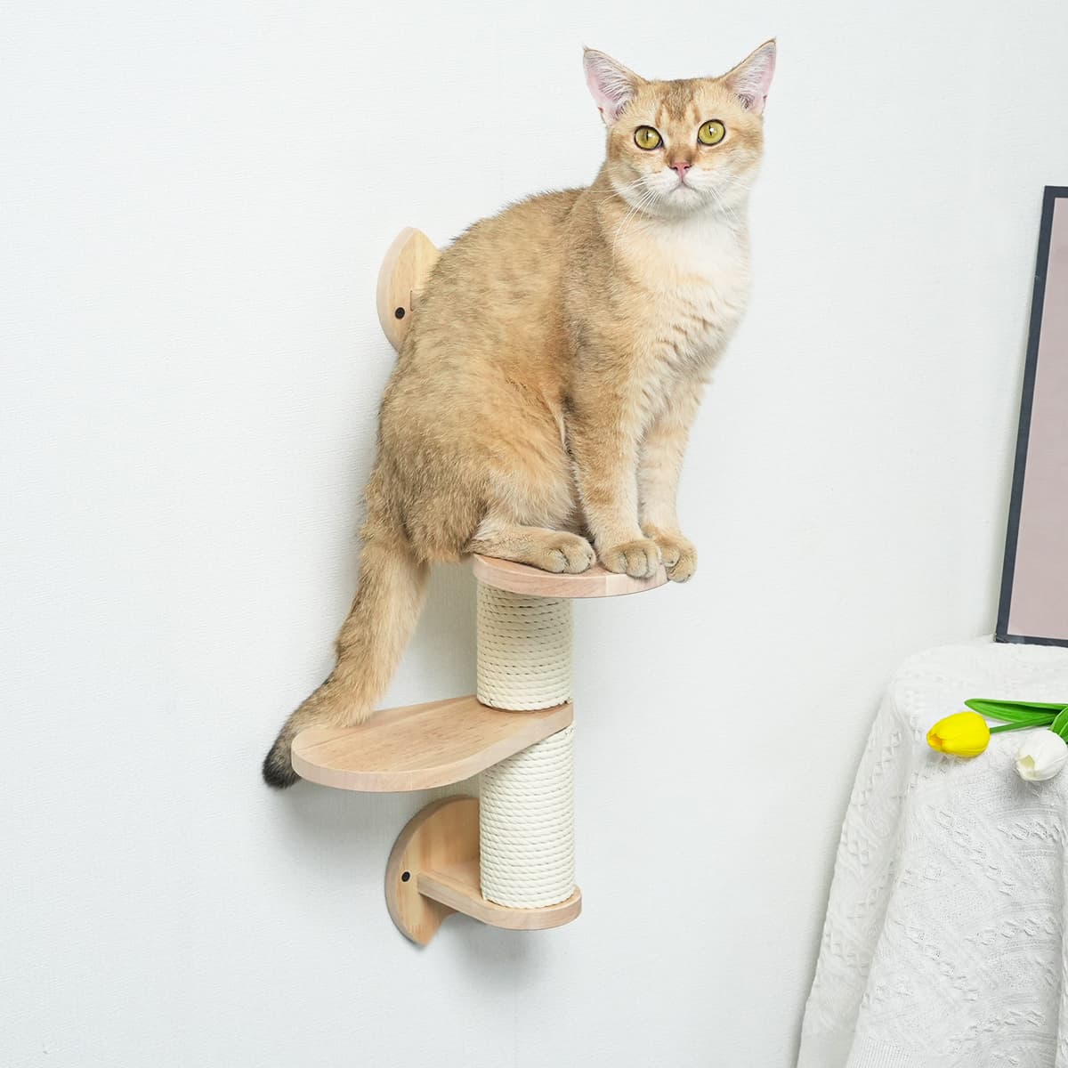 1点限り✨ キャットタワー  壁取り付け猫用スクラッチポストrenachiショップ商品一覧