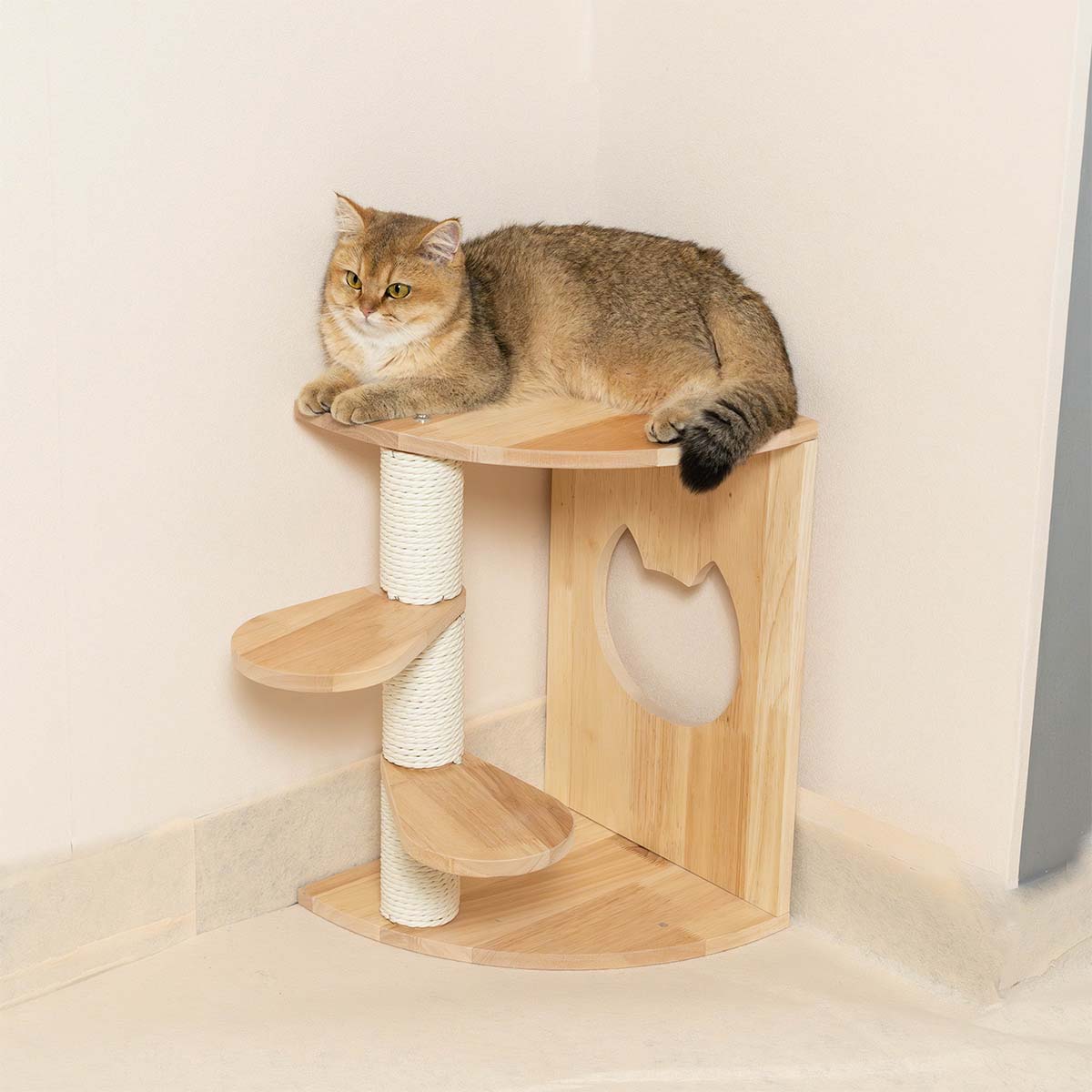 PETOMG猫の棚、壁付けキャットベッド、猫の止まり木| 猫壁取り付け 