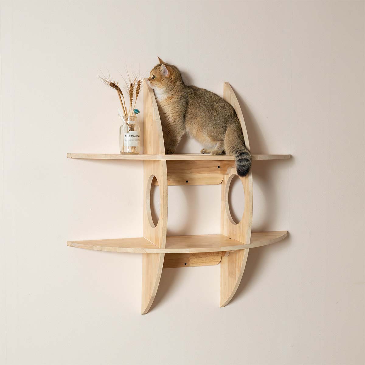 PETOMGキャットウォーク、DIY猫の棚、キャットウォール取り付けタイプ